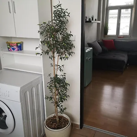 Apartament Apartman 11 *
